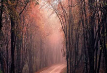 [天下足球]哈兰德点射 曼城主场大胜卢顿.