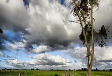 字母半场21+5+4,三次犯规下场后雄鹿领先优势被蚕食.:超凡国际